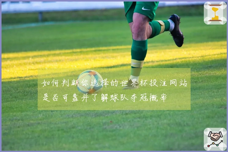 如何判断你选择的世界杯投注网站是否可靠并了解球队夺冠概率