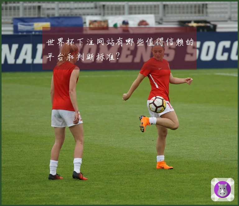 世界杯下注网站有哪些值得信赖的平台和判断标准？