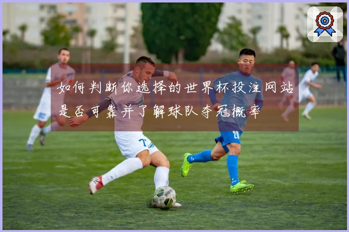 如何判断你选择的世界杯投注网站是否可靠并了解球队夺冠概率